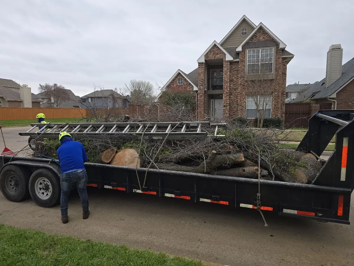 Expert Tree Removal with proper safety equipment in Blairsville